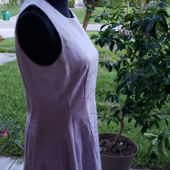 New York & Company Eva Mendes lace dress. - Picture 5 of 8